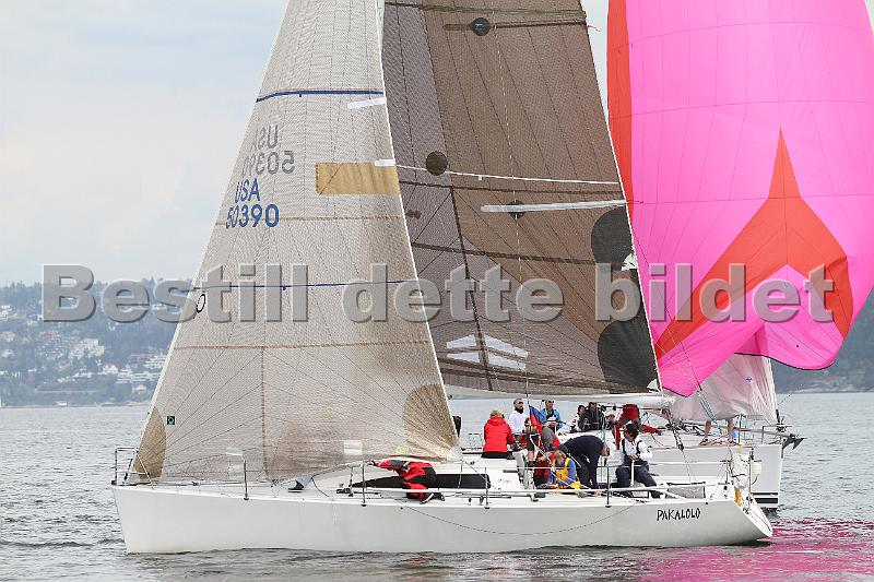 Bundefjorden2012 148.jpg